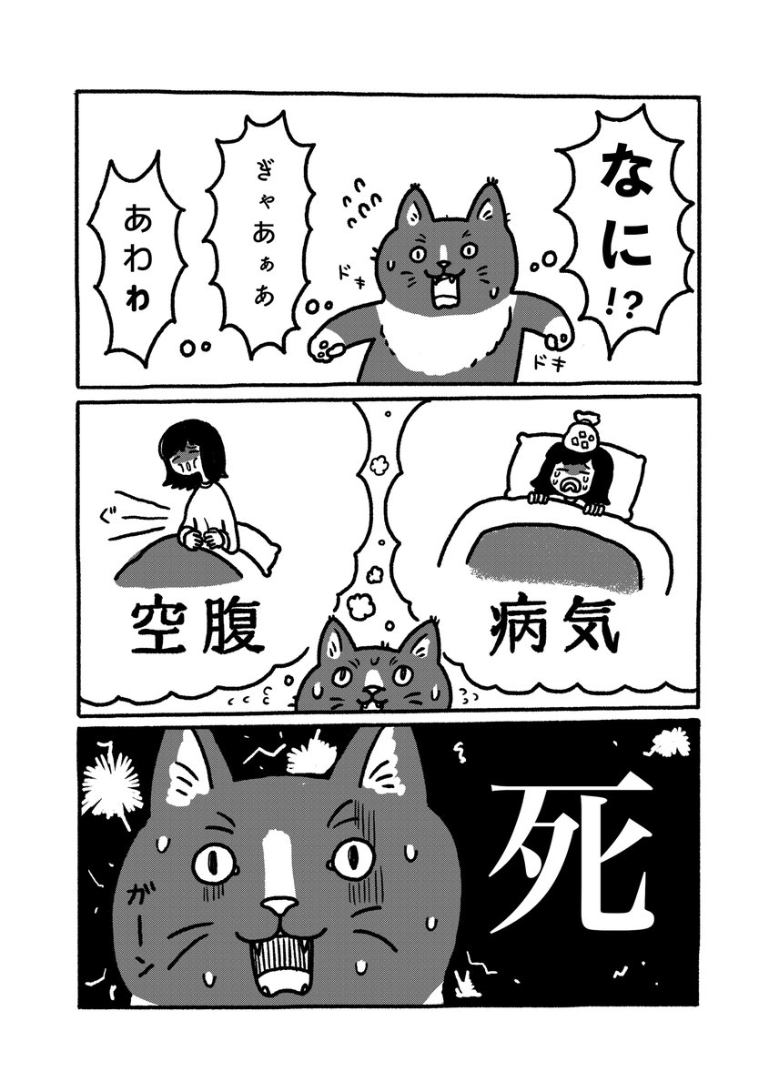 🌋たのしいお知らせ🌋  前回のコミティアでだした合同誌「マグマvol.1」が フロマージュブックスさんにて通販開始しました🤩  私は猫の漫画を描きました!🐈 興味ある方はぜひよろしくお願いします🙇‍♀️ #フロマージュブックス 
