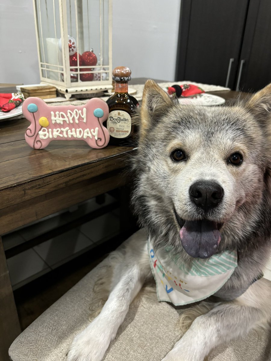 saezknows's tweet photo. Romeo turned 21 today you know we celebrating for real !!!! https://t.co/C304ntKKt6