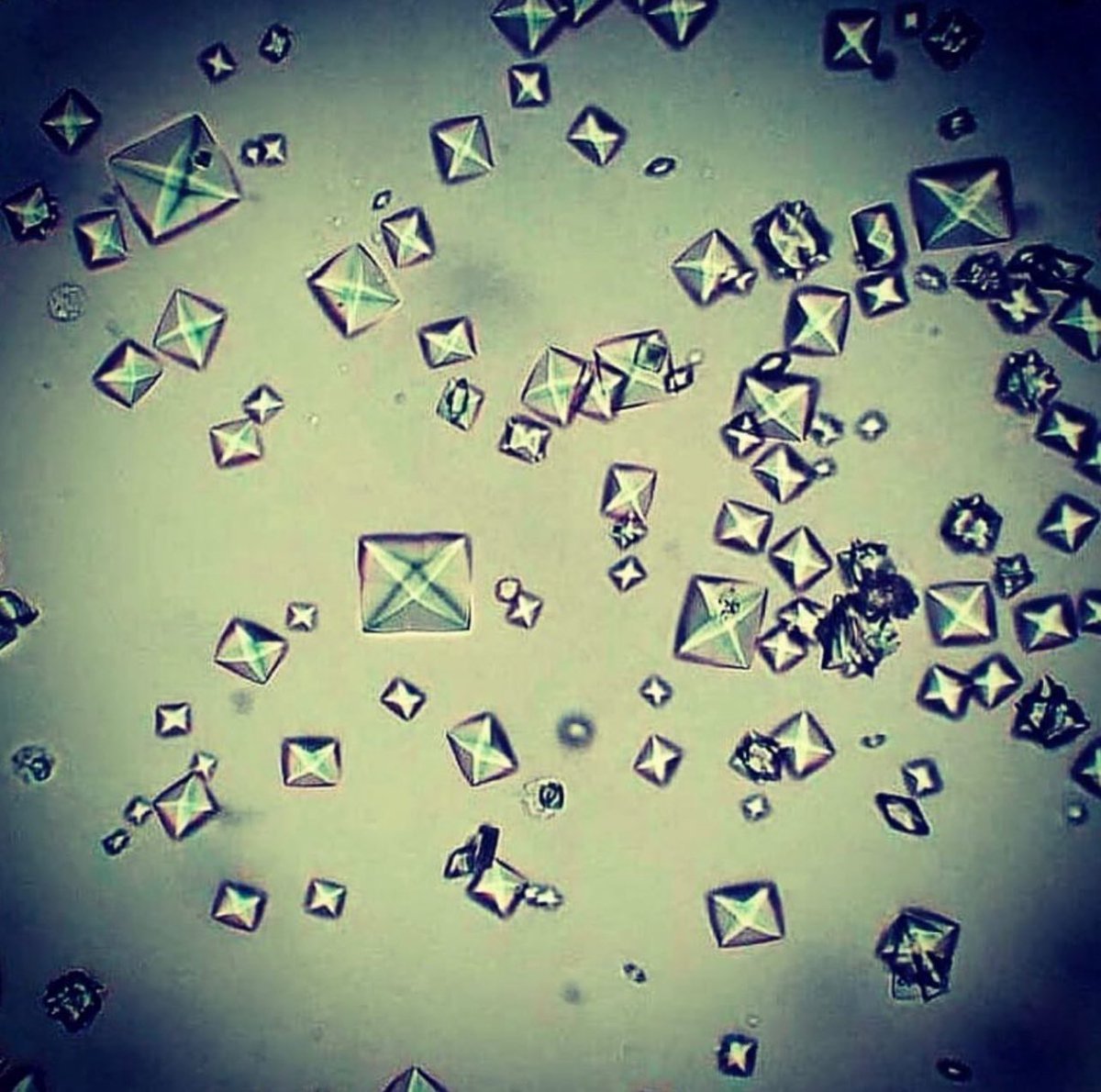 بلّورات أكسالات الكالسيوم (أملاح الكالسيوم) هي السبب الأكثر شيوعاً لحصى الكلي و المسالك البولية عموماً 
من بين الأطعمة الغنية بالأكسلات: (السبانخ و غيرها من الخضروات الورقية، الشاي، القهوة، الفواكه الجافة، البذور، نخالة القمح، الشوكولاتة، الفراولة، المانجو، الصويا....)