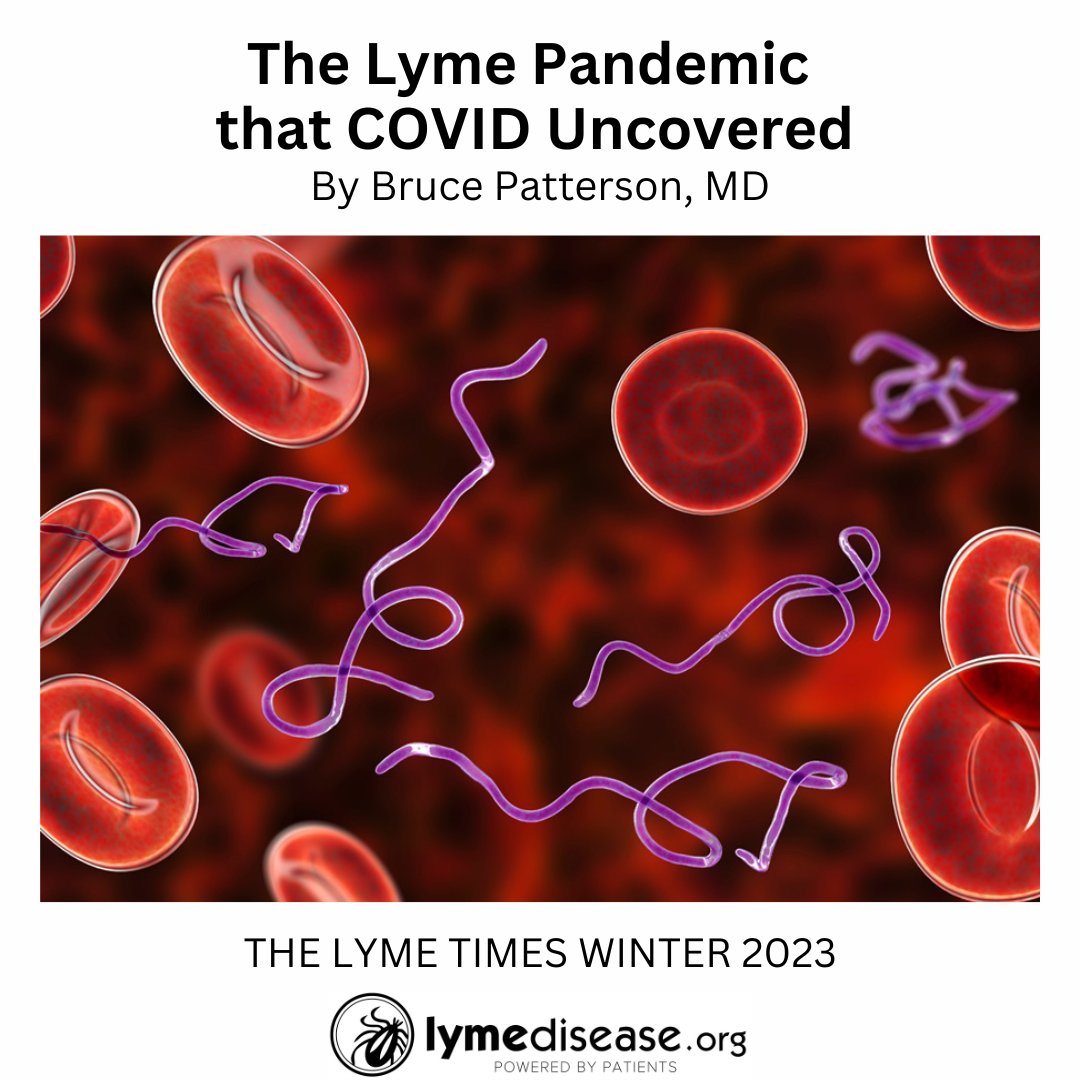 The Lyme Pandemic that COVID Uncovered. Like with #longCOVID, the medical establishment puts the burden of proof on the patient. #LymeDisease by Dr. Bruce Patterson @brucep13 lymedisease.org/members/lyme-t…