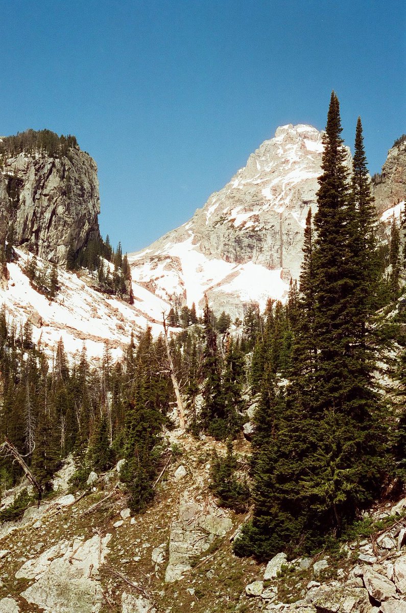 t_hikers's tweet photo. The Approach
•
🎞️ @CineStillFilm 400d https://t.co/lMnBS3iktX