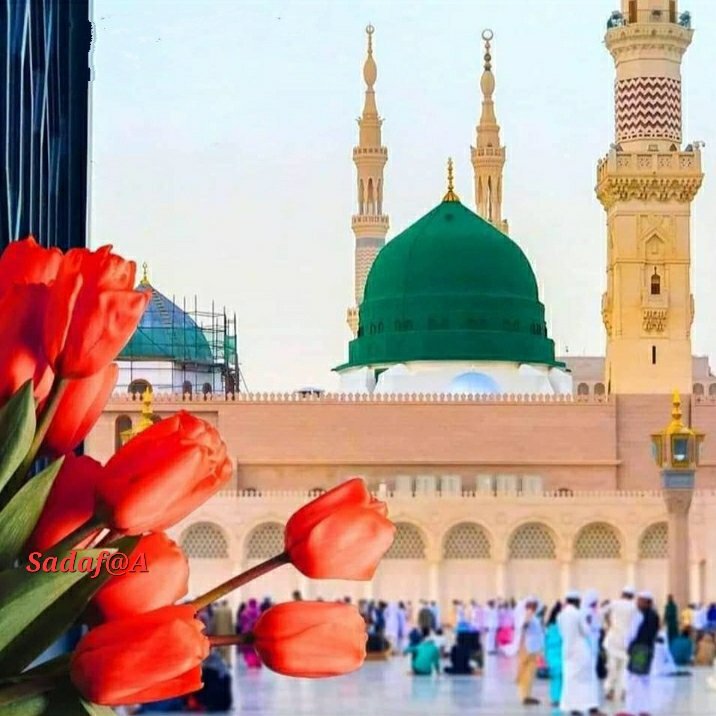 sadafsheriff35's tweet photo. حضور صلی اللہ علیہ وسلم بیماریوں کا علاج کیسے کرتے تھے ؟ انتہائی معلوماتی تحریر !! 

یہ بات یاد رکھنی چاہئے کہ طب نبویؐ کا تعلق وحی سے ہے اور عام دنیاوی طریقہ علاج صرف تجربہ ہے بعض اطباء نے تجربے کو یقین کے قریب تر بتایا ہے لیکن تجربہ ہرگز وحی کے رتبے کو نہیں پہنچ سکتا۔ اس لئے جو شخص طبِ نبویؐ کے ذریعے اپنے جسم کا علاج کرنا چاہتا ہے تو اس شخص کو چاہئے کہ پہلے وہ اپنے دل میں طب نبویؐ کے متعلق اعتقاد و یقین کو مستحکم کر لے کیونکہ اس کے بغیر طبِ نبویؐ سے فائد حاصل نہ ہو گا۔ اعتقاد جس قدر مضبوط ہوگا اس قدر فوائد حاصل ہوں گے۔ اس لئے مسلمانوں کو چاہئے کہ بیماریوں کا علاج دوا سے بھی کریں اور دعا سے بھی تاکہ صرف دوا ہی پر بھروسہ نہ ہو جائے۔ صحیح بات یہ ہے کہ دوا کرنا بھی سنت نبویؐ ہے۔ حضرت اسامہ بن شریکؓ فرماتے ہیں کہ ایک روز میں حضور اکرمؐ کی خدمت میں حاضر ہوا۔ لوگ آپؐ سے دریافت کر رہے تھے کہ اگر ہم بیماریوں میں دوا کر لیا کریں تو کچھ گناہ تو نہیں؟ یہ سن کر آنحضوؐر نے فرمایا کہ دوا کر لیا کرو اے اللہ کے بندو! اس لئے کہ اللہ نے جتنی بیماریاں پیدا کی ہیں ساتھ ہی ان کی دوا بھی پیدا کی ہے لیکن مرض موت اس سے مستثنیٰ ہے۔ذیل میں چند امراض اور ان کا علاج اور ادویہ کا مختصراً ذکر کیا جائے گا۔ یہ علاج اور ادویہ طبِ نبویؐ سے ماخوذ ہیں۔ تکبیر کے فوائد: جب بچہ پیدا ہو تو اس کے دائیں کان میں اذان اوربائیں کان میں تکبیر کہنی چاہئے۔ اس کی برکت یہ ہے کہ بچہ امّ البصیان (بولنے )کے مرض سے محفوظ رہتا ہے۔ ولادت کے ساتویں دن بچے کا اچھا سا نام رکھو، بچے کے بال اتروا کر اس کے برابر چاندی تول کر صدقہ کر دینا چاہئے یا ایک دو بکرے ذبح کر کے صدقہ کر دیں، اس عمل کا اثر بچے کی صحت پر پڑے گا۔ دودھ کا اثر: اپنے بچے کو احمق اور فاحشہ عورتوں سے دودھ نہ پلواؤ کیونکہ دودھ کا اثر بچے کے جسم اور اخلاق پر اثرانداز ہوتا ہے۔ نمک کے فوائد: رسول اللہﷺ نے حضرت علیؓ سے فرمایا کہ کھانا نمک کے ساتھ شروع کرنا چاہئے۔ اس لئے ستر امراض اور بیماریوں سے نمک میں شفاء رکھی گئی ہے اور ان میں سے چند یہ ہیں۔ جنون، جذام، کوڑھ، پیٹ کا درد اور دانت کا درد وغیرہ۔
بدہضمی کا علاج: آنحضوؐر کا ارشاد ہے کہ ’’میں تکیہ لگا کر نہیں کھاتا، کیونکہ تکیہ لگا کر اور کھڑے ہو کر اور سواری میں بیٹھ کر کھانے سے بدہضمی ہو جاتی ہے اور اس کے خلاف عمل سے کھانا ہضم ہو جاتا ہے اور تکبر بھی دور ہو جاتا ہے۔
ہاضمہ: رسول اللہﷺ نے ارشاد فرمایا ’’سرکہ بہترین سالن ہے۔ اے خدا سرکے میں برکت عطا فرما‘‘۔ نیز آپؐ نے فرمایا ’’جس دسترخوان پر سبزترکاری ہوتی ہے اس جگہ فرشتے آتے ہیں‘‘۔
قلب کی قوت: مسروقؓ کہتے ہیں کہ میں ایک مرتبہ حضرت عائشہؓ کے پاس حاضر ہوا تو میں نے دیکھا کے ان کے قریب ایک نابینا شخص بیٹھا ہوا ہے اور حضرت عائشہؓ ترنج (بڑا لیموں یا چکوترہ) ٹکڑا شہد میں لگا کر اسے کھلا رہی ہیں۔ میں نے عرض کیا کہ ام المومنین! یہ کون ہے؟ فرمایا کہ یہ وہ شخص ہے جس کی وجہ سے اللہ تعالیٰ نے اپنے نبی پر غصہ کیا تھا۔ اس واقعے کے متعلق شارحین نے لکھا ہے کہ ترنج شہد کے ساتھ نہار منہ کھانا دل اور دماغ کے لئے بہت مفید ہے۔
ہاضمہ کا علاج : آنحضوؐر نے فرمایا’’گوشت کو چھری یا چاقو سے کاٹ کر نہ کھایا کرو بلکہ گوشت کو دانتوں سے کاٹ کر کھانا چاہئے۔ اس لئے کہ بدہضمی سے بچاؤ کرتا ہے اور دانتوں سے کھانے میں ہاضمہ جلد ہو جاتا ہے۔
دانت کی تکلیف: آنحضوؐر کا ارشاد ہے کہ حب الاس کی اور خوشبو والی لکڑی سے خلال نہ کیا کرو، کیونکہ میں یہ بات پسند نہیں کرتا کہ جذام لاحق ہو جائے۔ خلال کے لئے سب سے بہتر وہ لکڑیاں ہیں جو تلخ ہوتی ہیں۔
کم خوراکی: رسولؐ اللہ نے فرمایا کہ پیٹ سے زیادہ بڑا برتن اور کوئی نہیں ہے۔ انسان کو چاہئے کہ جب کھائے تو اس کے تین حصے اس طرح کرے کہ ایک حصہ کھائے، ایک حصہ پانی کیلئے رکھے اور ایک حصہ سانس کی آمدورفت کیلئے خالی چھوڑ دے۔
بسیار خوری: زیادہ کھانے سے بہت سے امراض پیدا ہوتے ہیں مثلاً بدہضمی اور ہیضے وغیرہ کی شکایت ہو جاتی ہے اس لئے آنحضوؐر کو ڈکار سے سخت نفرت تھی۔ فرماتے تھے کہ اتنا زیادہ کیوں کھا جاتے ہو۔
بدن کی کمزوری: ارشاد نبویؐ ہے کہ بدن کی کمزوری دور کرنے کیلئے دودھ میں گوشت پکا کر کھایا کرو نیز فرمایا ’’گوشت تمام سالنوں کا سردار ہے‘‘۔ انجیر کے فوائد : آنحضوؐر نے فرمایا ’’انجیر کھانے سے آدمی مرض قولنج سے محفوظ رہتا ہے، انجیر کھایا کرو‘‘۔ انجیر بواسیر کیلئے مفید ہے۔ منہ کی بدبو جاتی رہتی ہے۔ سر کے بال دراز کرتی ہے۔ طبیعت میں نرمی پیدا کرتی ہے۔ لطیف اور زود ہضم ہے۔
زیتون کے فوائد : رسولﷺ نے فرمایا’’زیتون کھایا کرو اور اس کے تیل کی مالش کیا کرو اس لئے کو جو شخص روغنِ زیتون کی مالش کرتا ہے اس کے پاس چالیس روز تک شیطان نہیں آتا‘‘۔
👇