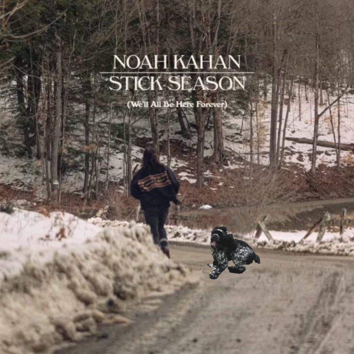 avstintyler's tweet photo. @NoahKahan lil mongrel https://t.co/9USyWplo2z