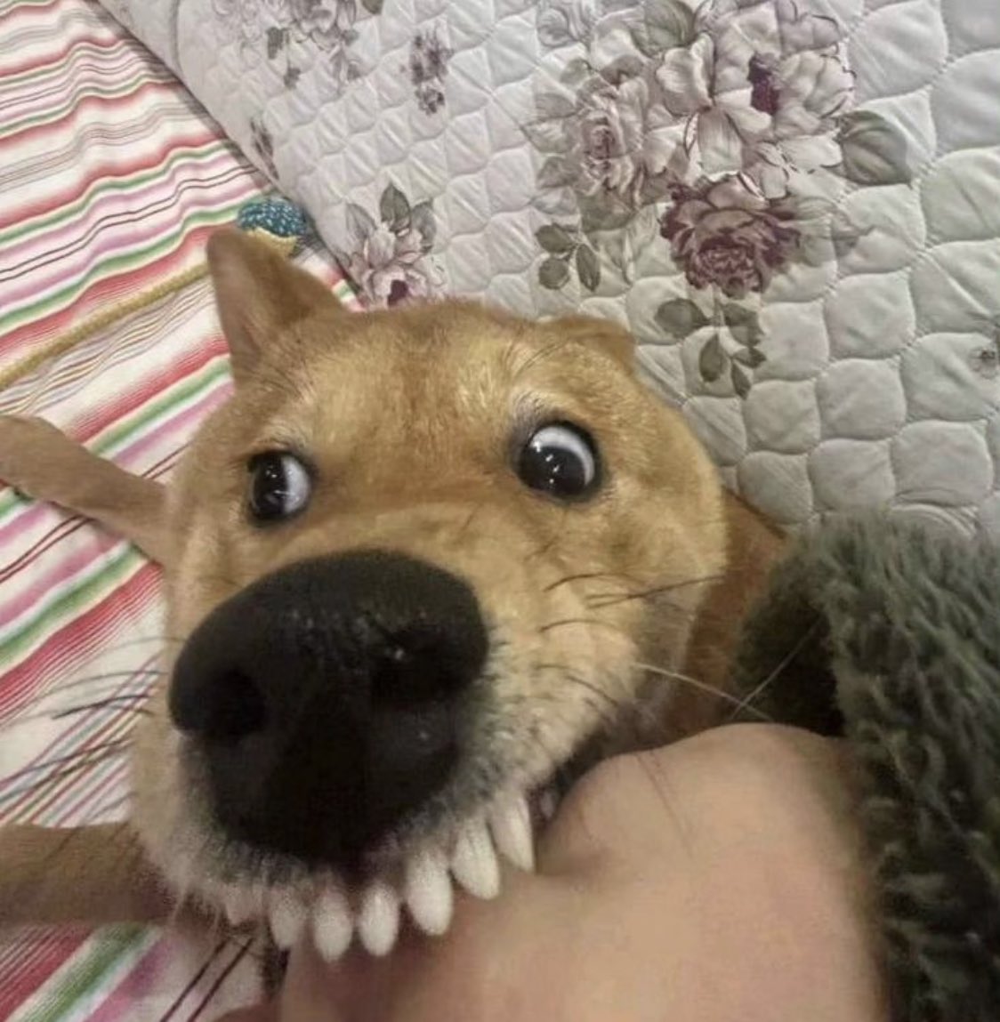 디디 (@mull_over_) on Twitter photo 