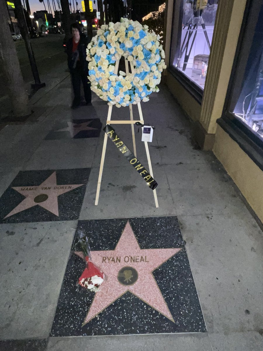 Memorial flowers for Ryan O’Neal. Ryan’s star is next to the star of his “Love Story” co-star Ali McGraw and is also next to the star of Farrah Fawcett, the love of his life. RIP 🌹 📷 @Donnellywood56