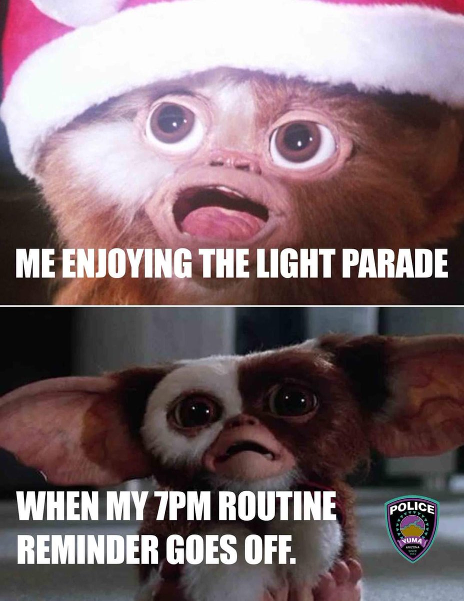 It’s 7PM! ⏰ Before heading out to the light parade tomorrow, make sure you bring in your packages 📦. Leave your valuables at home, lock your vehicle doors and secure the windows. 
 
🔒Program your security alarm.
🏠Secure your garage doors.
💡Switch your outdoor lights on.
