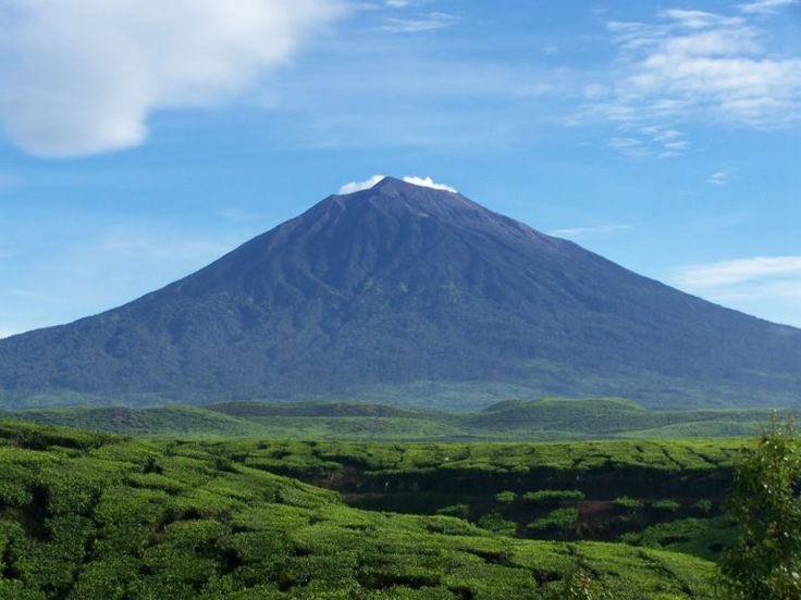 JAGANTARAclsd's tweet photo. Pick One

Pantai atau Gunung? https://t.co/nzuqJLccam