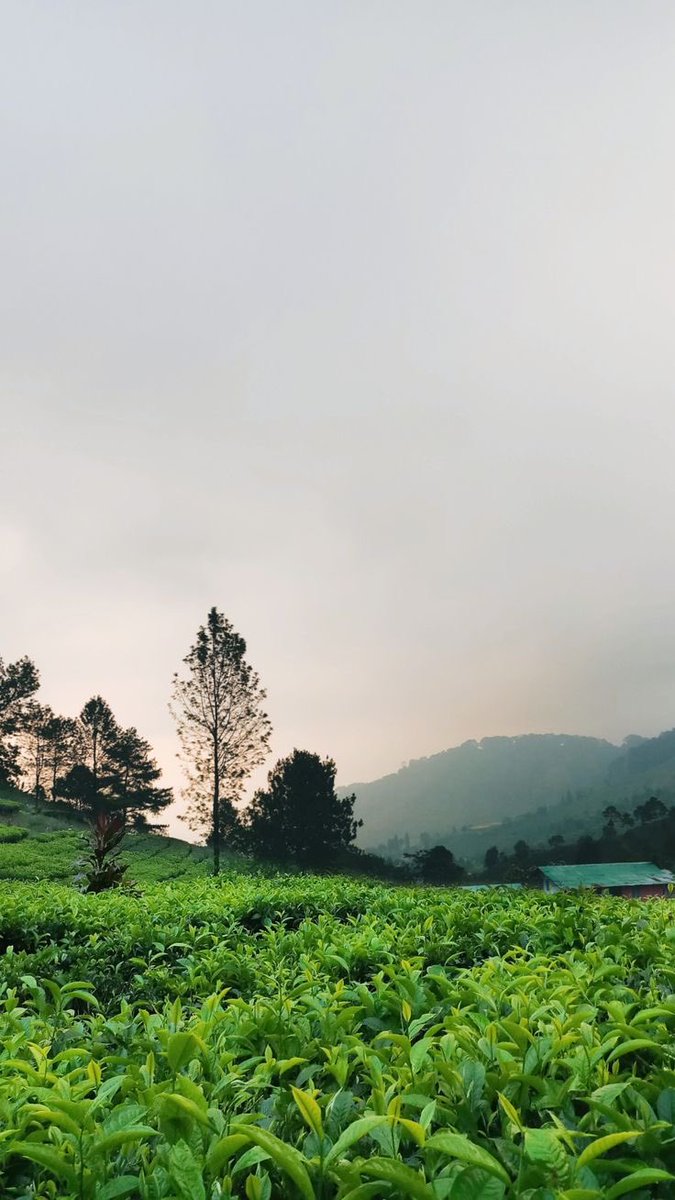 JAGANTARAclsd's tweet photo. Pick One

Curug atau Puncak https://t.co/uIl0mr3n8S