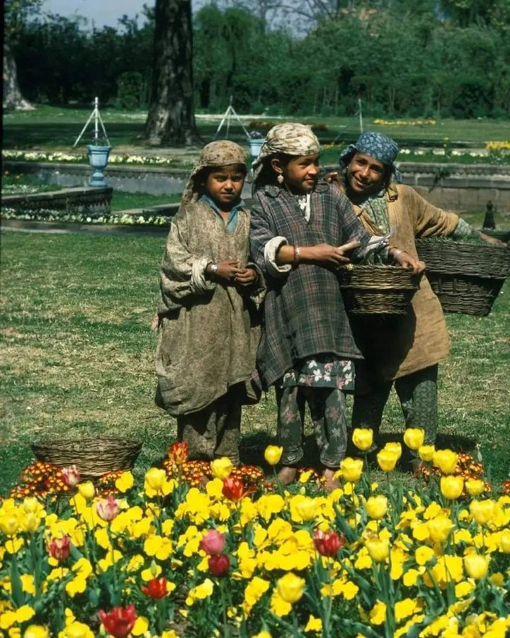 niloferwani51's tweet photo. 1958 - Kashmiri Children at mughal garden♥️ #Kashmiri #oldkashmir #kashmirbeauty #kashmirlife #kashmirculture #historyofkashmir https://t.co/lYK6dcPZos