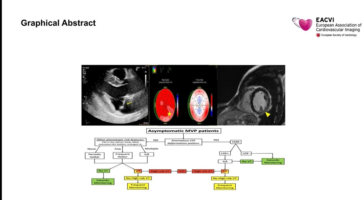 #Speckle-tracking as gateway for further advanced imaging in MV prolapse asymptomatic patients..#Searching for Arrhythmic MVP🧐🧐..Great work of Malagoli A! @SIC_CARDIOLOGIA @GiovanniBenfari @DrGEMandoli @MC_Pastore @Fedeilardi @MatteoLisi11 pubmed.ncbi.nlm.nih.gov/38061000/