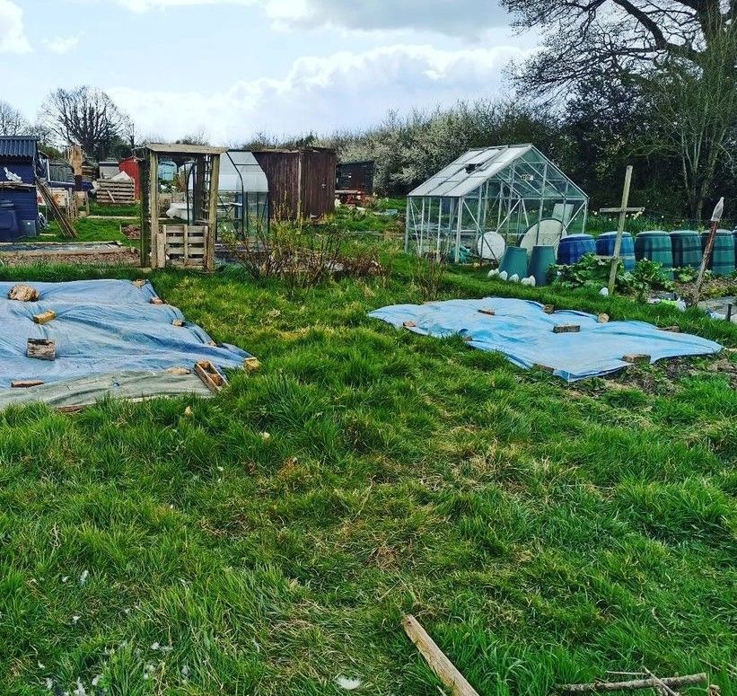 "🌿 Self-Care Saturday: Unplug &amp; Recharge! 💆‍♀️

Today's challenge is a digital detox. Take a break from screens, embrace the world around you, and recharge your mind. Share your experience of unplugging in the comments below! 🌳📵

My go to is spending time at the allotment!