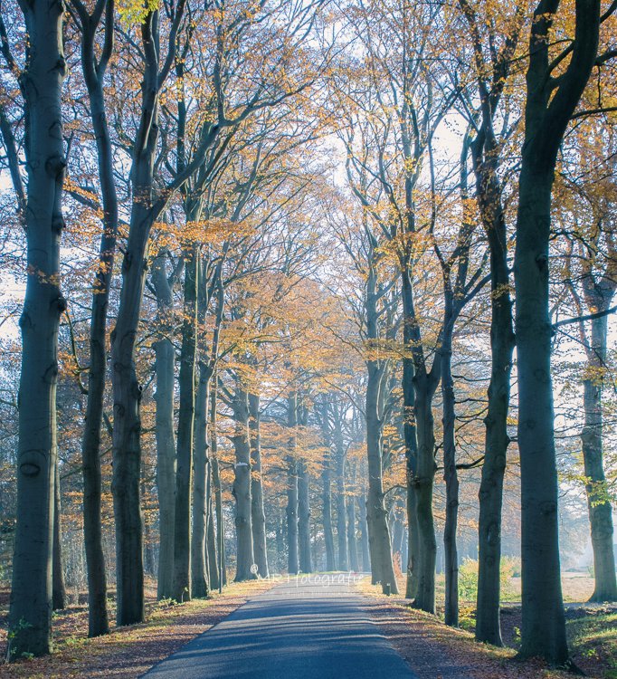 MRTfotografie's tweet photo. Goedemorgen!
#weekendleesvoer
Regelmatig krijg ik de vraag in welke kwaliteit fotograferen het beste is, RAW of JPEG. Lees de tips op https://t.co/ewyGyaev54 en beslis zelf
Fijn weekend!๐ซ๐โ๏ธ๐โโ๏ธ https://t.co/SR2VHVaLXZ