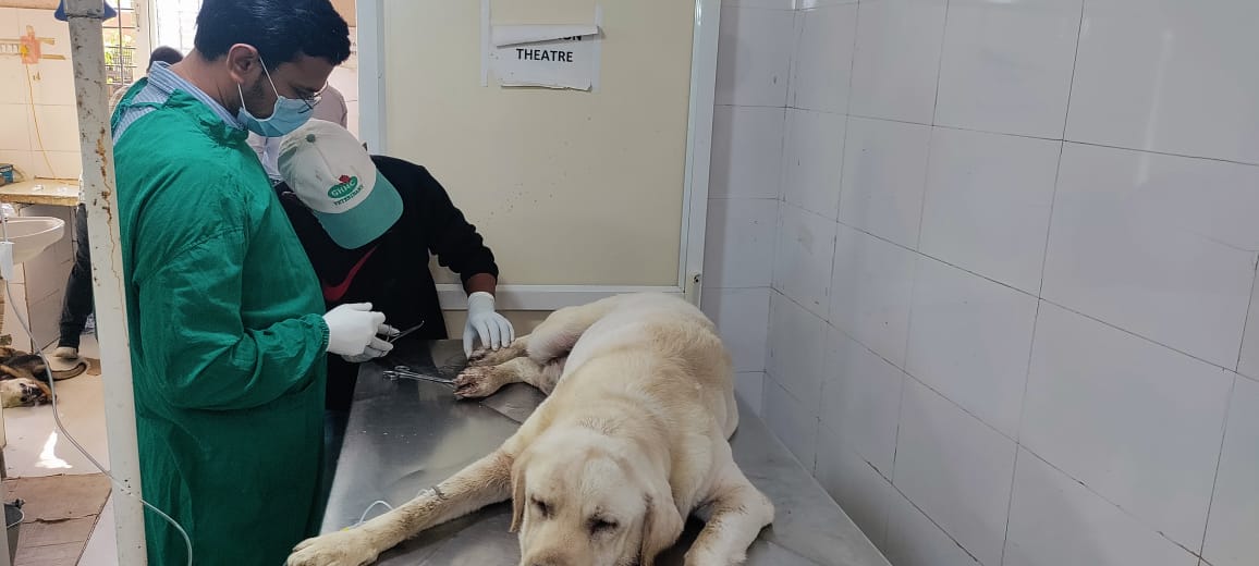 AD-vet,KPZ GHMC tweet media