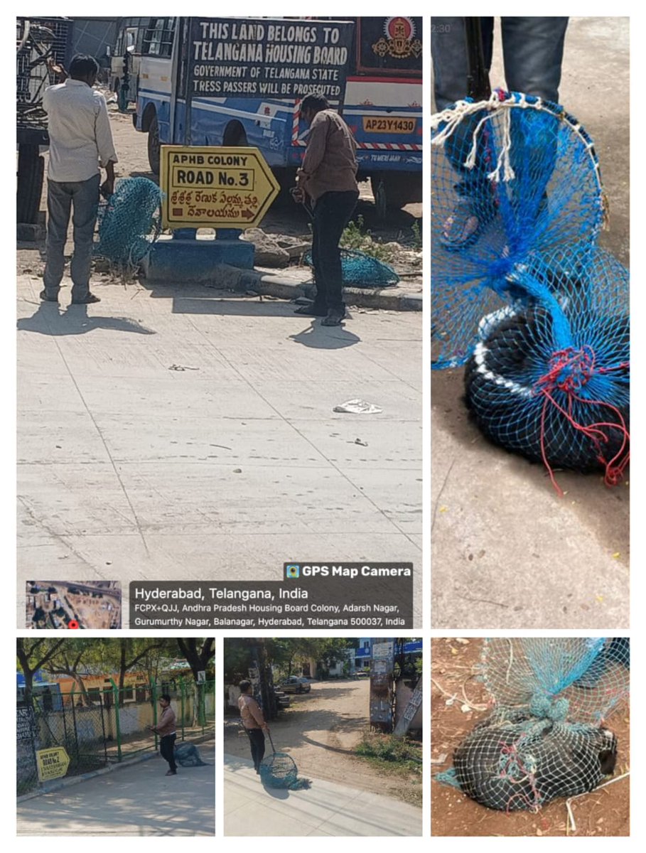 AD-vet,KPZ GHMC tweet media