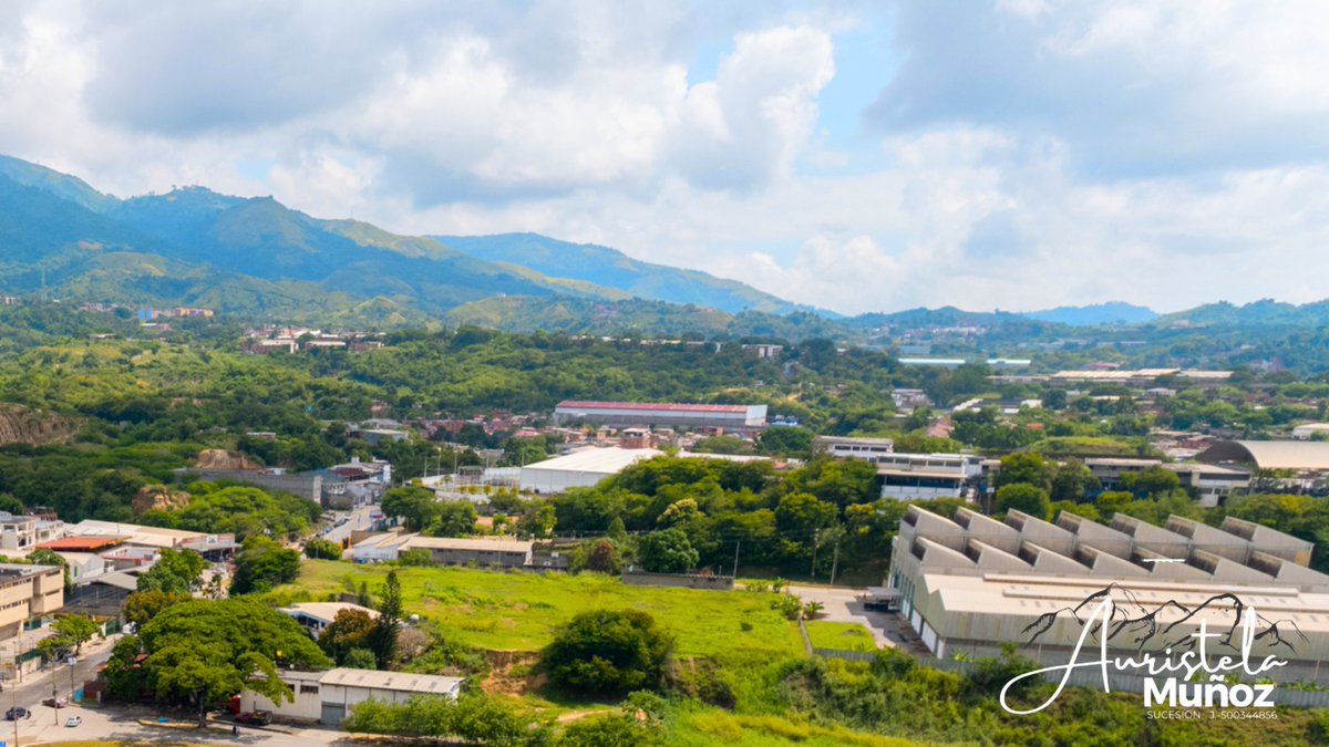 MunozSucesion's tweet photo. Desde el "Valle de las Yeguas" hasta la expansión que conectó con "Las Sabanas del Rodeo", estas tierras han sido testigos de nuestra historia familiar desde 1675. 🕰🗺 #HaciendaMuñoz #TierrasHeredadas #GuatireHistorica #HaciendaMuñoz #HistoriaAgraria #GuatireHistorica https://t.co/wP2z3PEhc7