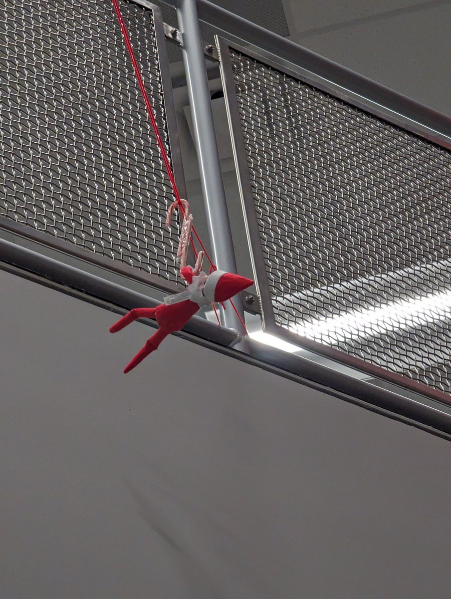 Jingle and Bell were up to some serious shenanigans in the hallway this morning! 
<a href="/cfisdmcgown/">@cfisdmcgown</a> 
#OwlAboutTheBest