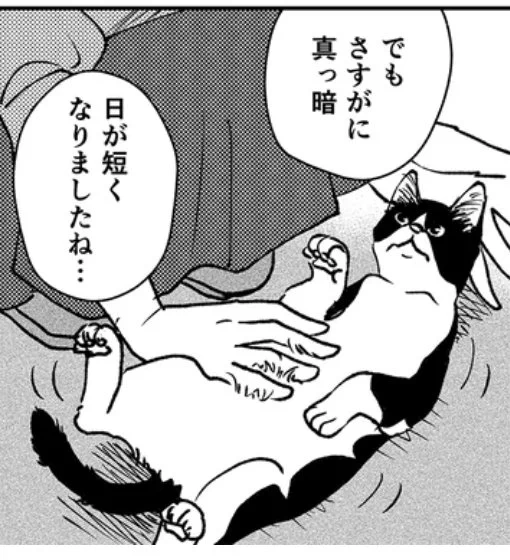なんの脈絡もなく登場したこのただねこ(ただでさわらせてくれるねこ)を演じたのは、熱海のバーMuddy Catの接待番長、一太郎氏です。
Muddy Catさんには取材で大変お世話になりました。前話のテラスのあるコンビニもMuddy Catさんのおすすめです。バーも漫画に登場させたかった… 
