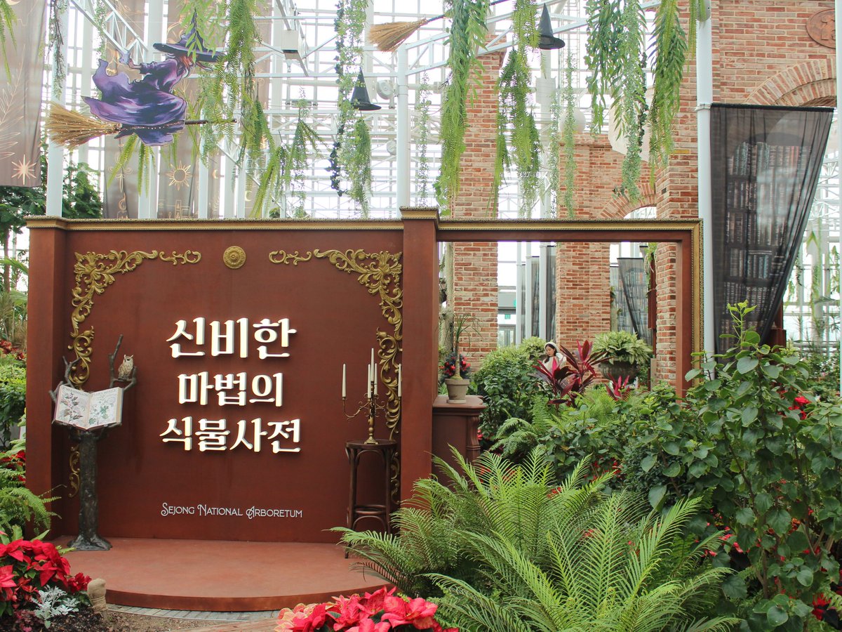 buwangbuwang's tweet photo. 국립세종수목원 특별전시 <신비한 마법의 식물사전> 이 시작되었습니다. 
아주 초록초록해서 눈이 행복하다♡ https://t.co/9SEWmdmcuJ