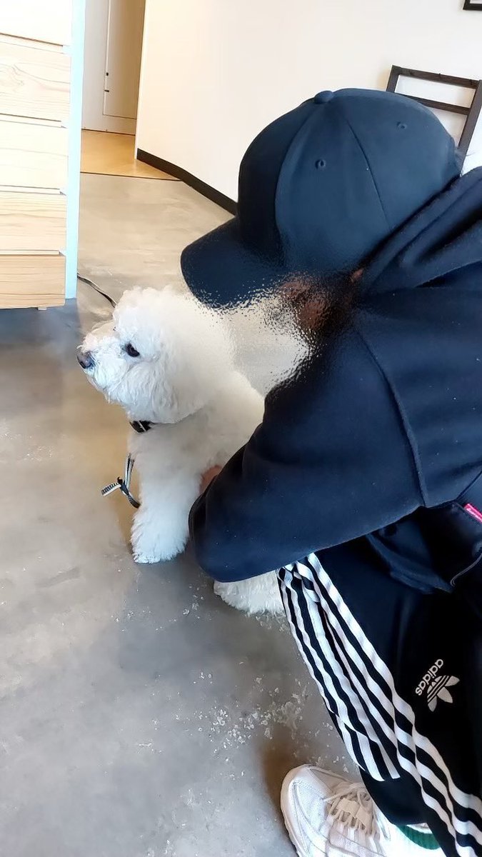 オレオ元気してるかな🐶
近々会いいこ！