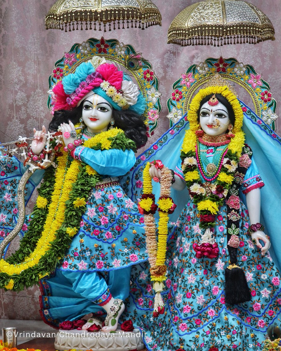 Vrindavan Chandrodaya Mandir tweet media