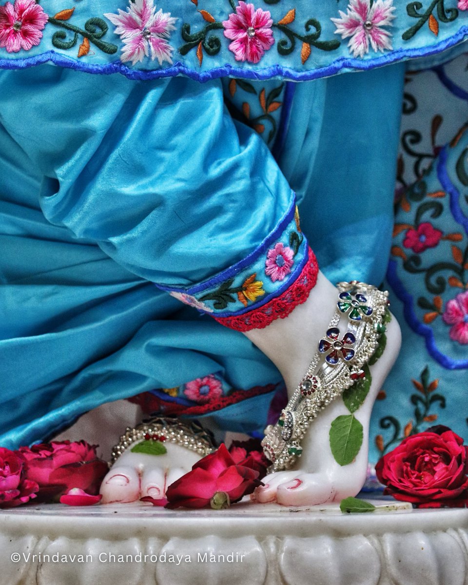 Vrindavan Chandrodaya Mandir tweet media