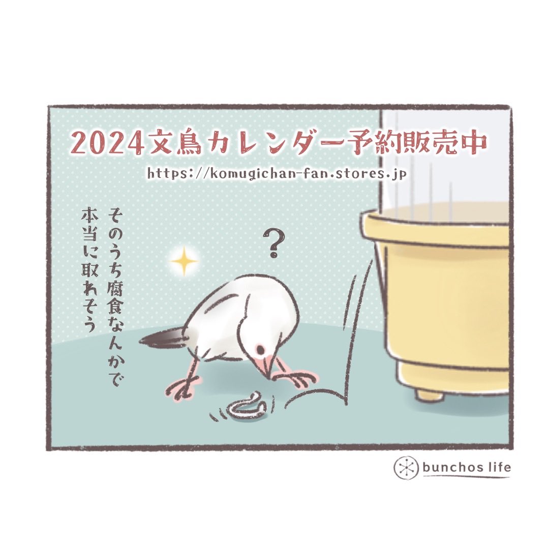 ð¿2024幎ã«ã¬ã³ããŒã®äºçŽè²©å£²éå§äž!Amazonãæ¥œå€©ãµã€ãã¯åºå®ãã€ãŒãããã©ããâš
âââ
https://t.co/Vpu1kC6fSL