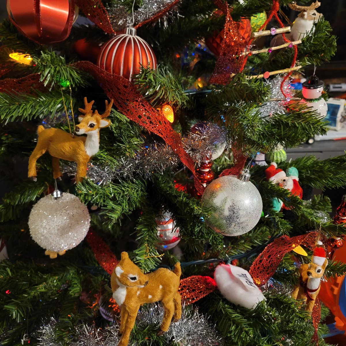 I do not have a problem, this house merely belongs to the deer now.