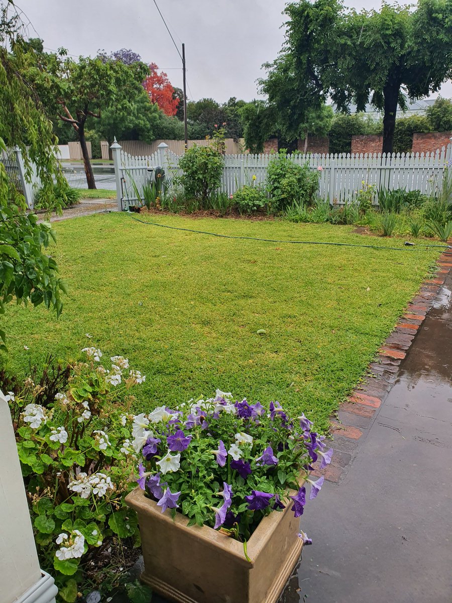 Rain delays....again....