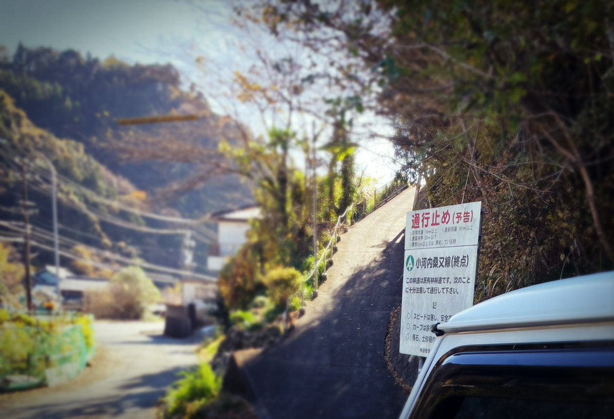 iguso's tweet photo. #JIMNY#JB64#XG#5MT#26U
　近場の未舗装林道が、殆ど崩落等で走行不可なところばかり…。
　先日行った「小河内桑又線」、思ったより距離はそこそこあったらしいので(9km位)今度は「起点」から「終点」まで行ってきた。こっちからの方が昇りのダートをのんびり楽しめた。 https://t.co/rFhLaaLbki