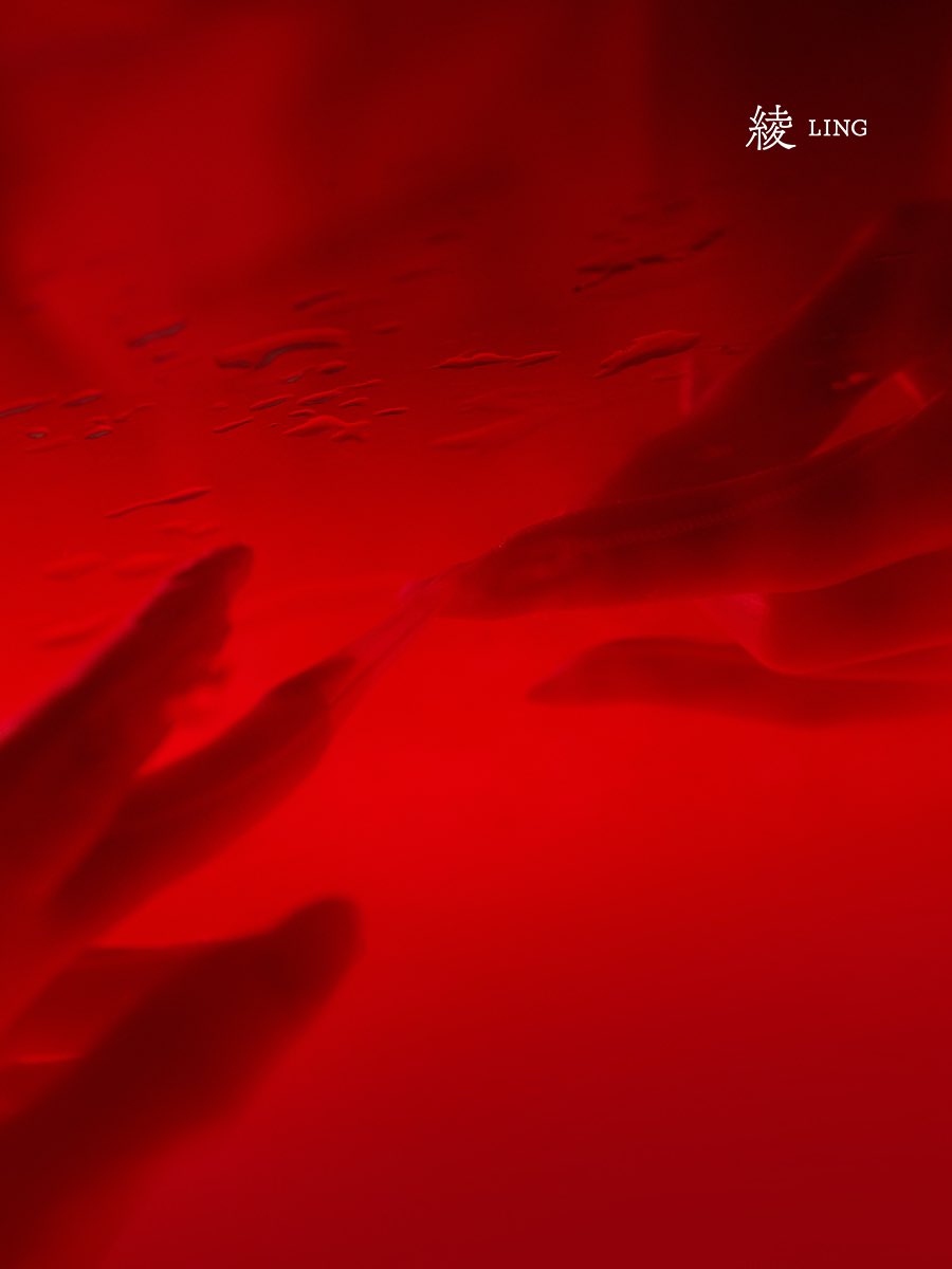 绫新品「流纱」纯丝袜手套 正式上线
如水如绸，任丝滑漫延至指尖🥂

100%纯丝袜质感，通体丝滑
勾绘纤纤细指，修长玉臂
盈透丰润，尽显酥软
指尖撩拨，轻触游离
禁忌之选，诱引至欲渴望

「流纱」纯丝袜手套 
选购直达https://t.co/izoynfP3wu

#绫天生丝滑 #绫丝袜 #绫 #绫天猫旗舰店 #丝袜 #丝袜控 https://t.co/ttEmwHWIuq