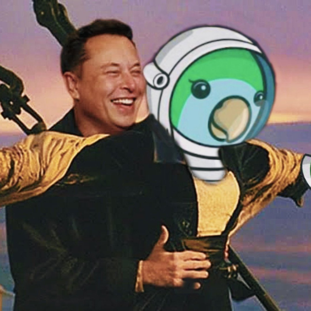 kelleyobri3n's tweet photo. Iβm Buying More $SBIRB
Definitely not missing out on this gem! @BirbDefi
Team working actively, minds will be blown π€―π€― #BIRBDEFI is ready to dominate the crypto space.
https://t.co/zcsK7C2W0u https://t.co/mOYnyQXJYN