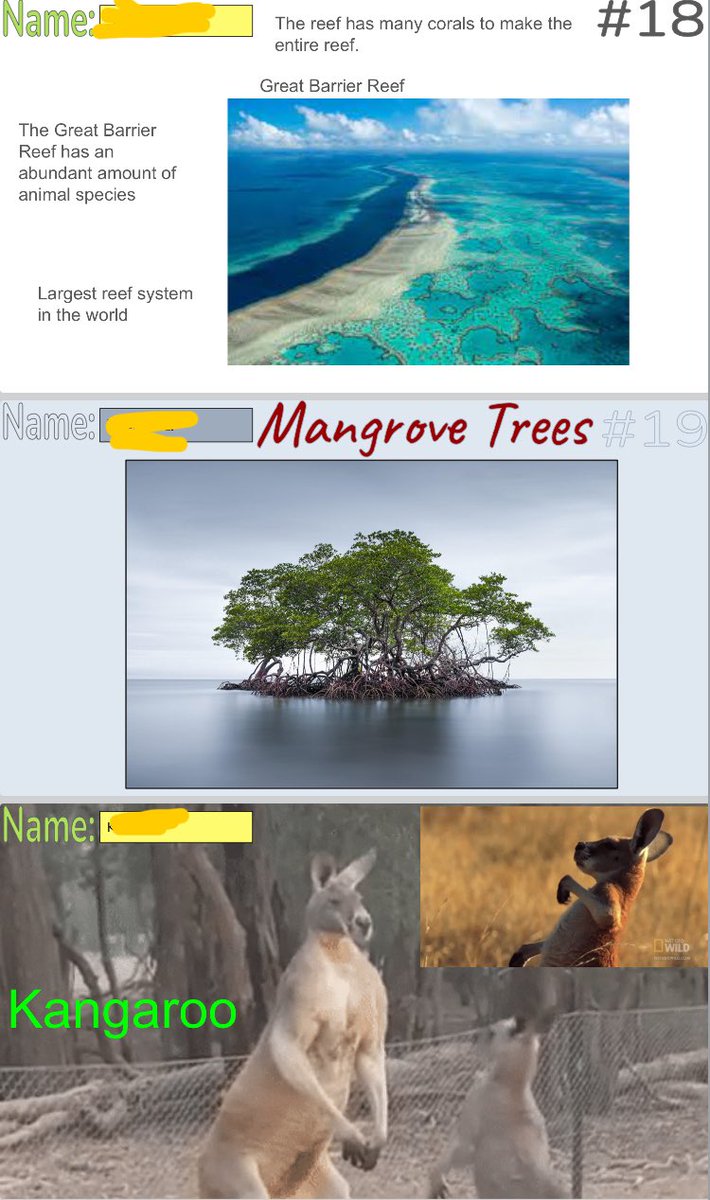 shanshab10's tweet photo. Another round of #8Parts today! Today’s picture led to a lesson on Polynesian War Dances which connected to our local area. GT Humanities ended the lesson with creating thin slides using a @NatGeoEducation article about the geography, flora, and fauna of Oceania.
@eduprotocols https://t.co/3CdmwXQ0fQ