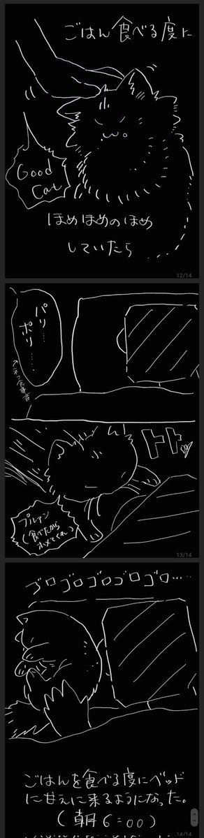 きょうのねこ 