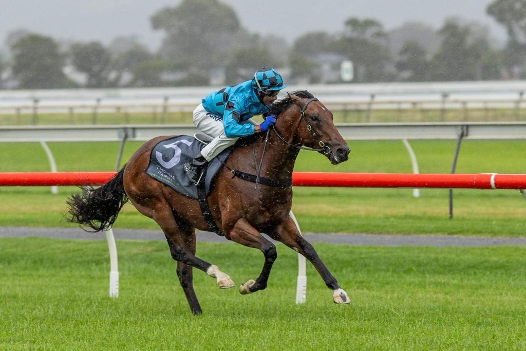 KennewellRacing's tweet photo. Fantastic to see 2yo colt Wolfgang win today for a fantastic group of people. He is a horse we have a lot of time for and the best is still ahead of him.
Congratulations to @LucyJYeomans on her first metro winner, no doubt many more to come ๐๐ฅ๐ฅ https://t.co/qFjjFsh0jq