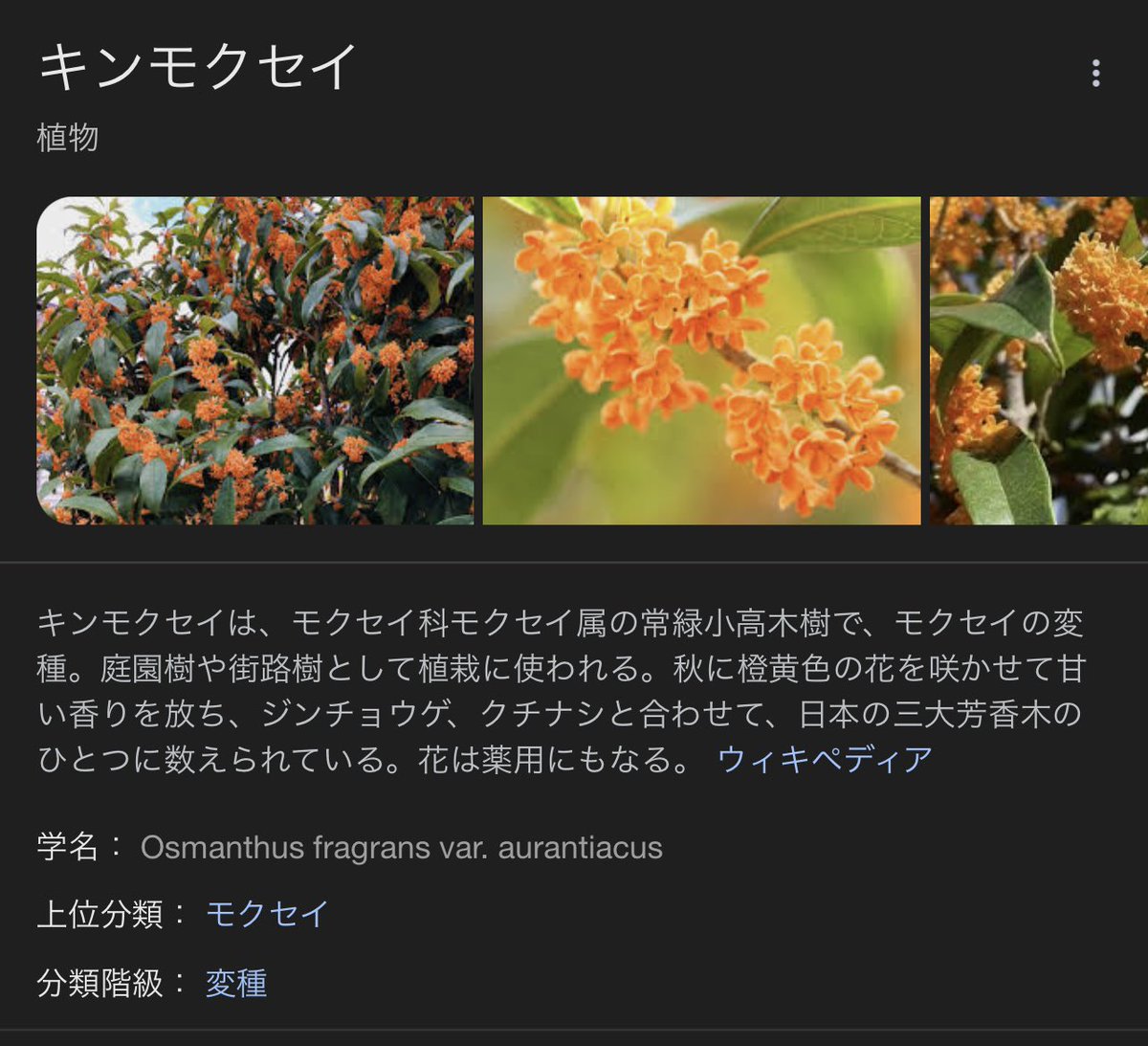 クッキーラン最新情報 休止中 on X