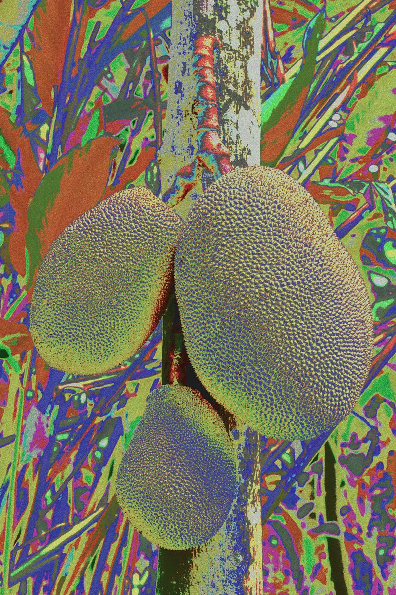 Fruits That Go Hard tweet media