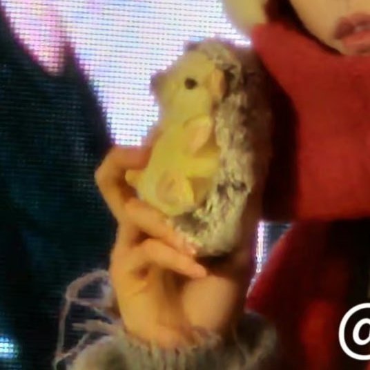 ourhomesoobin's tweet photo. 🦔♡ https://t.co/xT1heWURc4