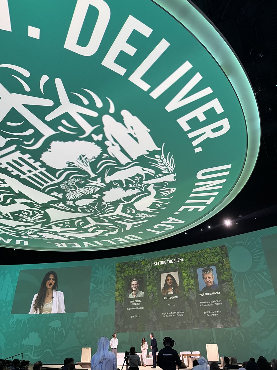 Annamária Lehoczky tweet media