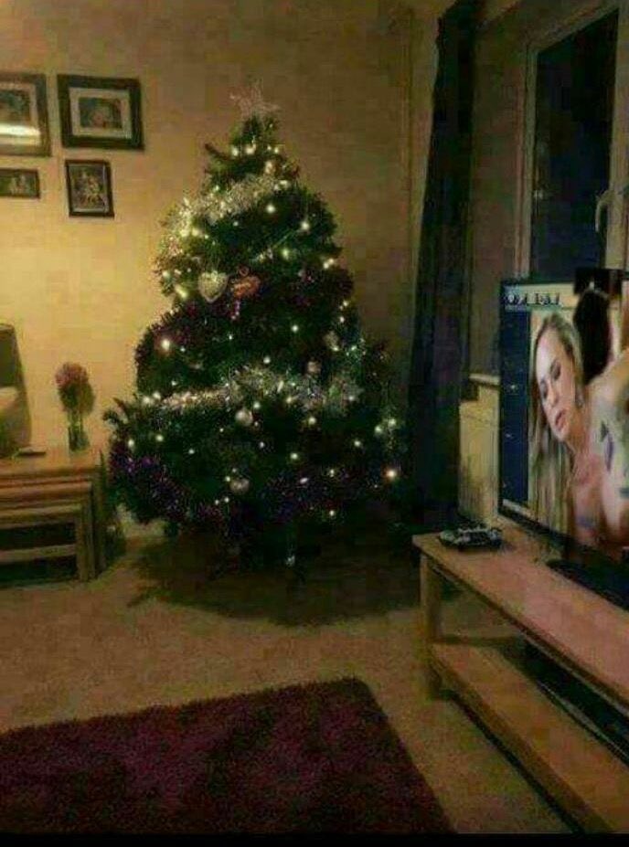 zenopher's tweet image. Der Weihnachtsbaum-Baum steht 👊