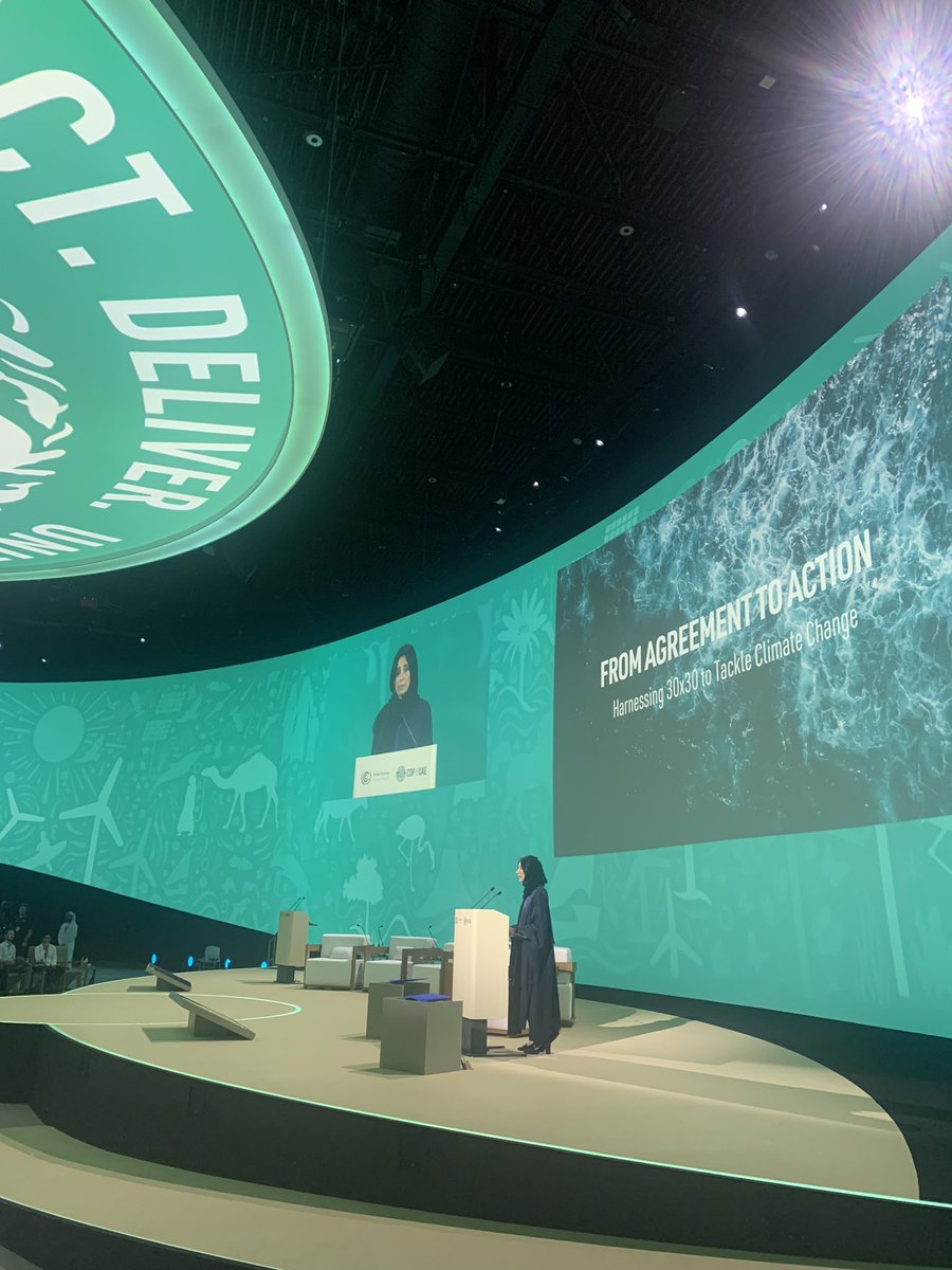 oneplanetsummit's tweet photo. Today at #COP28, the @HACforNP 🌱🐝, launched at our 2021 #OnePlanetSummit on #biodiversity, is taking stock of progress on the #30x30 target a year ahead of @UNBiodiversity #COP15 🇺🇳 with @COP28_UAE, @hlcchampions & Campaign for #nature 🤝 https://t.co/b597FrzFBP