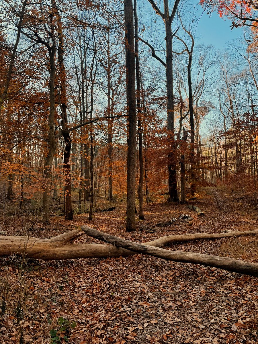 EmmaJo Briles tweet media