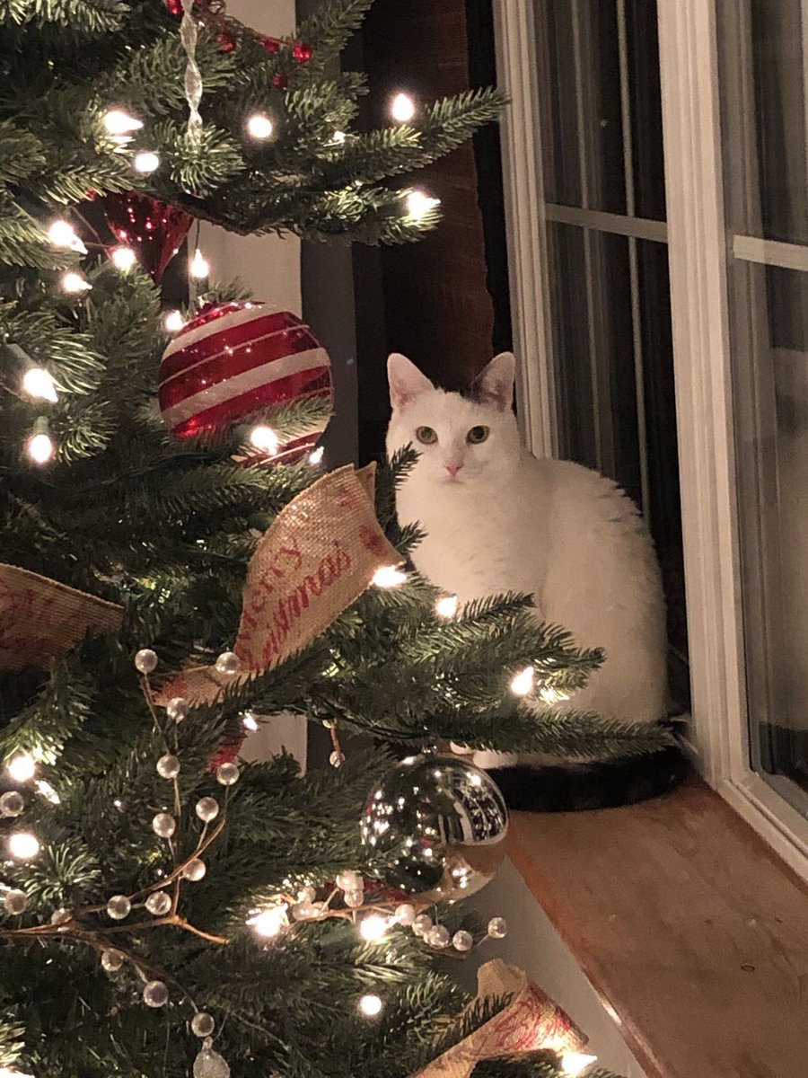 “only 16 days until christmas 🎄🧦💌”