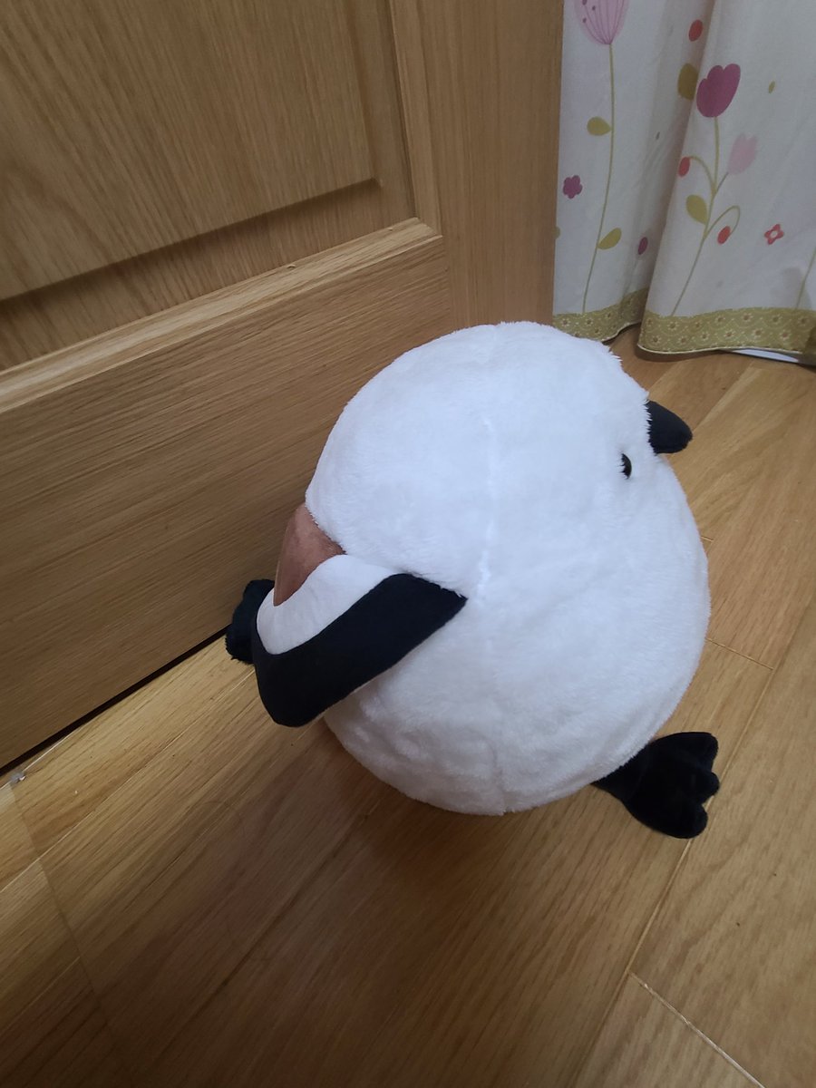 ppnaojj's tweet photo. なんとなく、買ってしまった😅
シマエナガのぬいぐるみ
この冬は、ワンコのかわりに、ぬいぐるみを膝に置いてがんばろ😢 https://t.co/vqMn8nJLvq