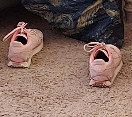 A thread of Kim Seonho but he gets louder and happier as you keep scrolling