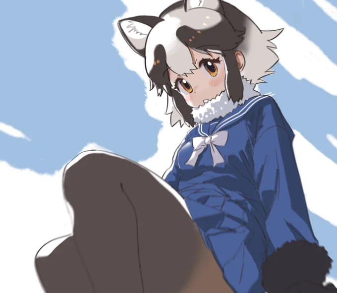 12/9 のタヌキちゃんです 