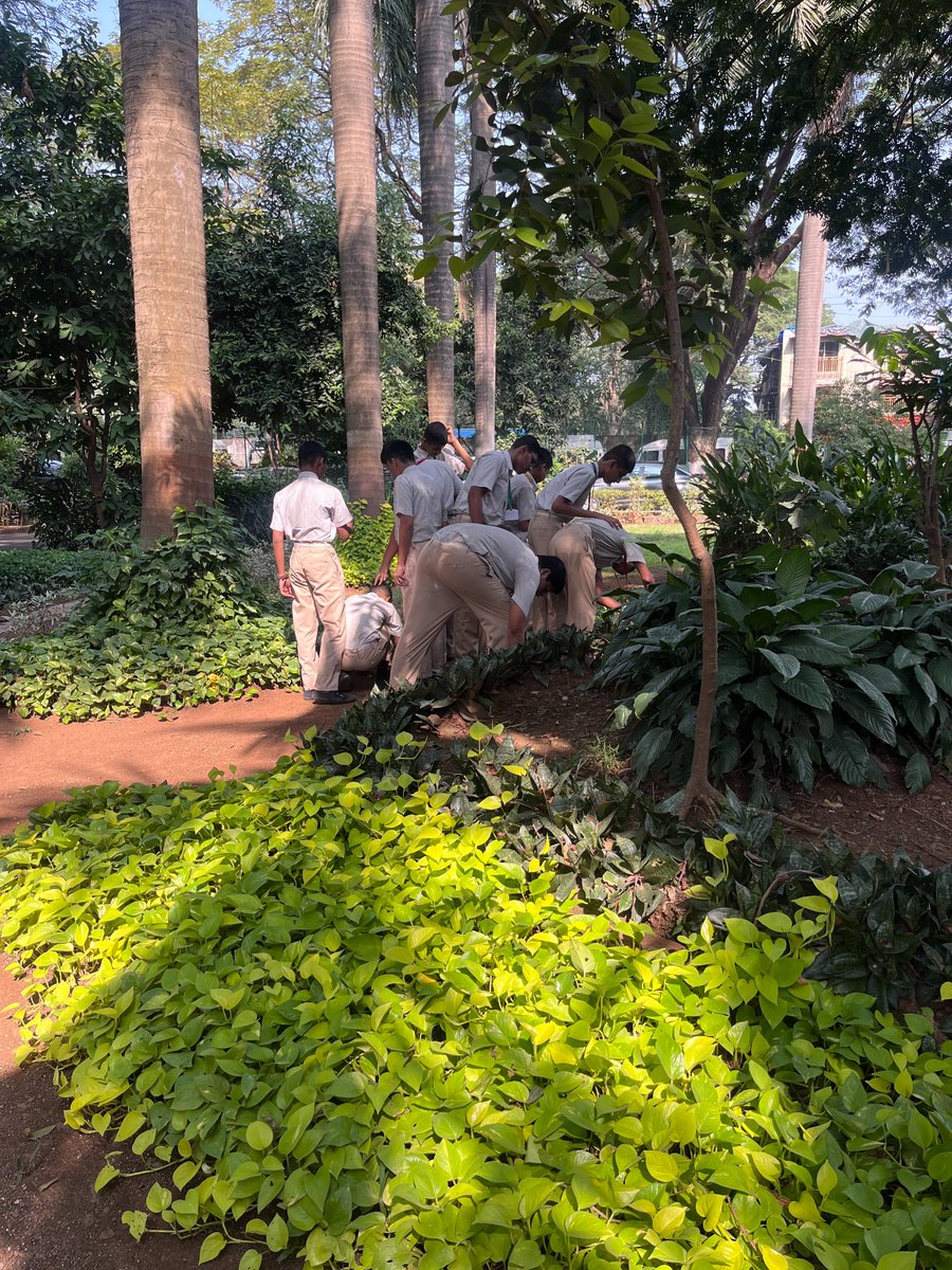 Anuttama_K's tweet photo. Many thanks to the Biology Cell of @HBCSE_TIFR  for the wonderful facility &amp; support and @ASCBiology  Compass Outreach Grant for the financial support because of which we could distribute @TeamFoldscope as prizes to a few of the participants in each day! https://t.co/MbHYmfQlx9