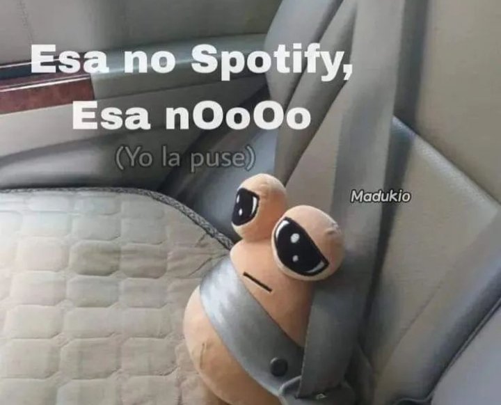 si soy