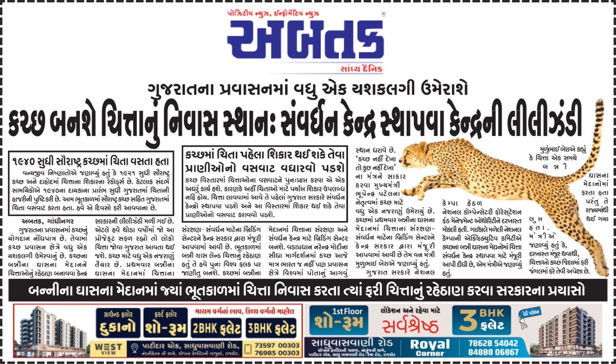 #tourism #gujaratkutch #saurashtrakutch #leopards @Bhupendrapbjp 
@CMOGuj