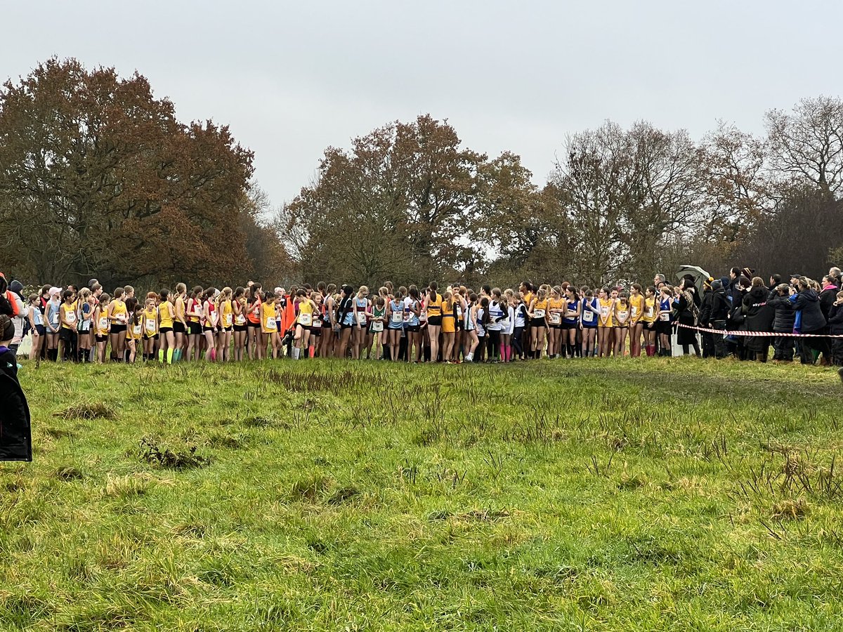 Sarah Bennett tweet media