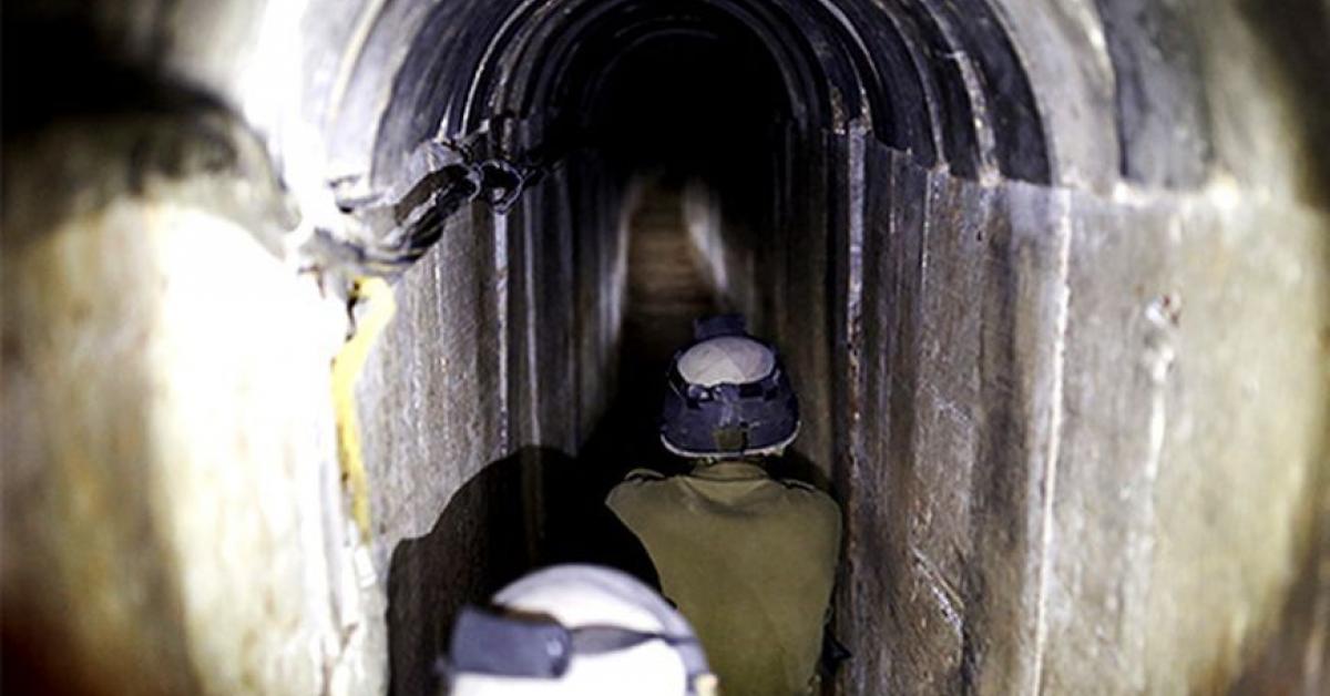 Mujahidin Bakar Tikus dalam Terowongan
📢

Mujahidin Al Qassam memasang perangkap dalam terowong di kawasan Sheikh Radwan, 

pasukan tikus zionis yg masuk diledakan dalam terowongan yg Mengakibatkan Banyak Tikus zionis jadi bangkai Gosong dan Korengan